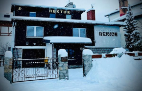 Willa Hektor Szklarska Poręba